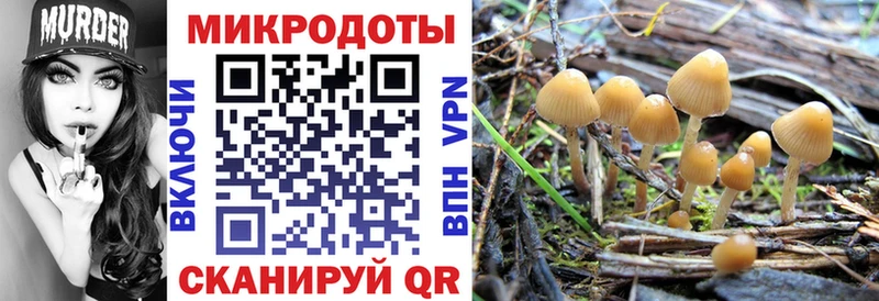 Галлюциногенные грибы мухоморы  Истра 