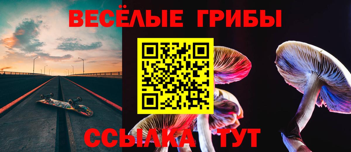 Истра  Галлюциногенные грибы Cubensis  Вход с VPN  Псилоцибиновые грибы Psilocybine cubensis 