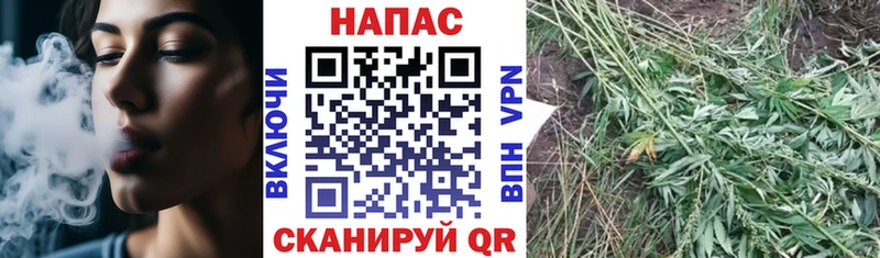 mega вход магазин продажи Истра МАРИХУАНА марихуана