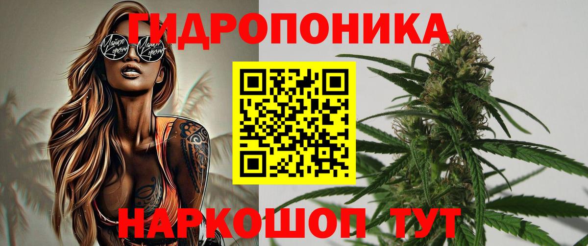 Каннабис VHQ  Конопля тримм  Истра  Вход с VPN 